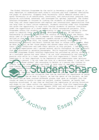 Analysis of the Global Scholars Programme