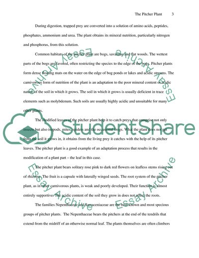 Carnivorous Angiosperm With Modified Leaves