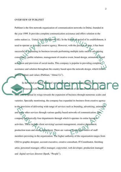 Organization of Communication Networks in Dubai: Publinet