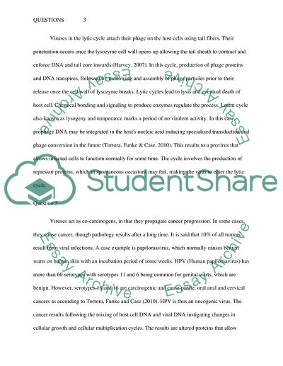 Answer 7 individual questions