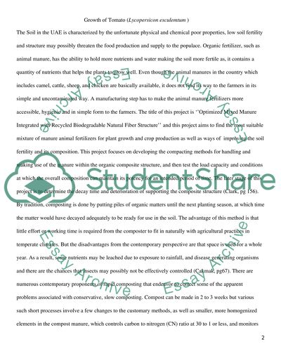 Growth of Tomato as Known as Lycopersicon Esculentum