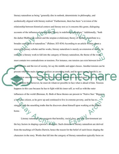 Native Son by Richard Wright Book Report/Review