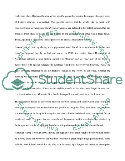 Spalting Wood History