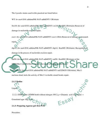 The mechanisms that underlay the repairs of DNA damages