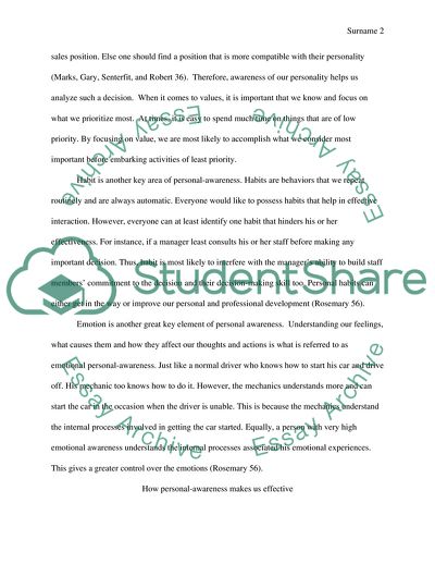 Performing Accountability in Professional Environments