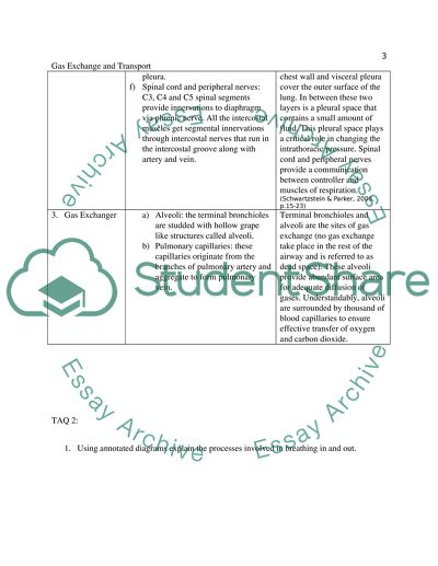 Human Biological Systems, Gas Exchange & Transport