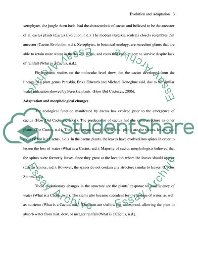 Evolution and Adaptation of Cacti