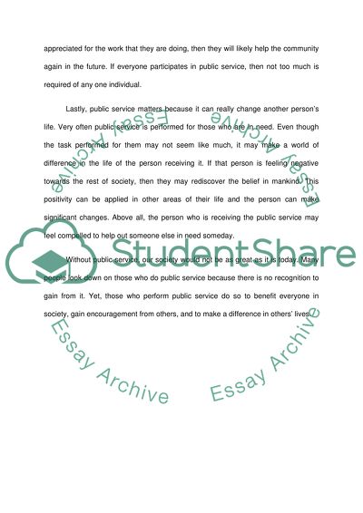 example essay about public service