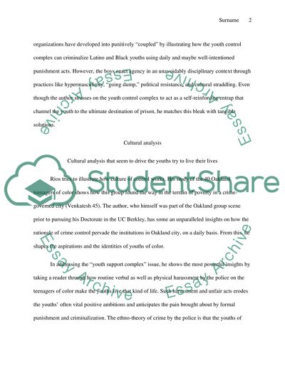 Youth Crime and Stigmatization