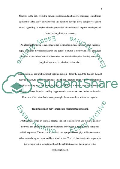 Faster and Better Word Learning in Normal Humans: Transmission of Nerve Impulses
