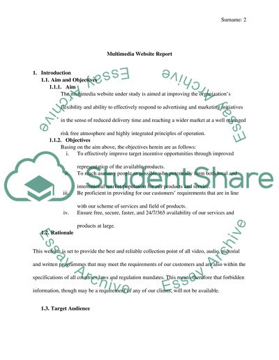 Multimedia Website Report