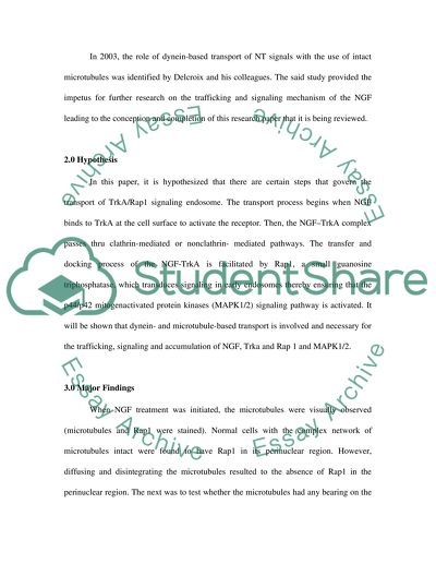 A functional DyneinMicrotubule Network Is Required for NGF signaling through the Rap1MAPK pathway