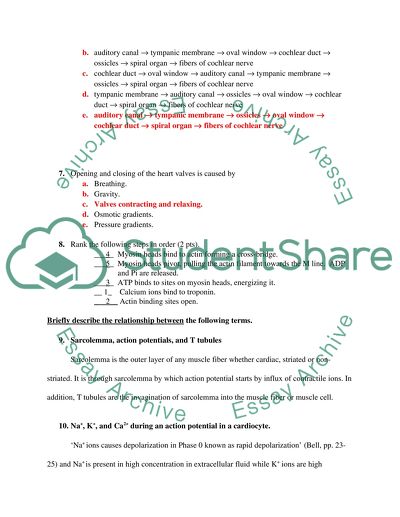 Sarcolemma, Action Potentials and T Tubules