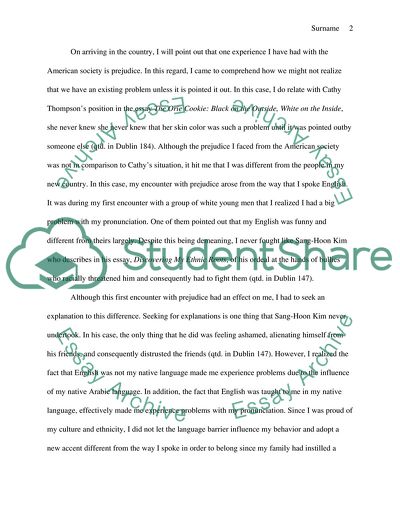 Influence of Ethnicity on My American Life