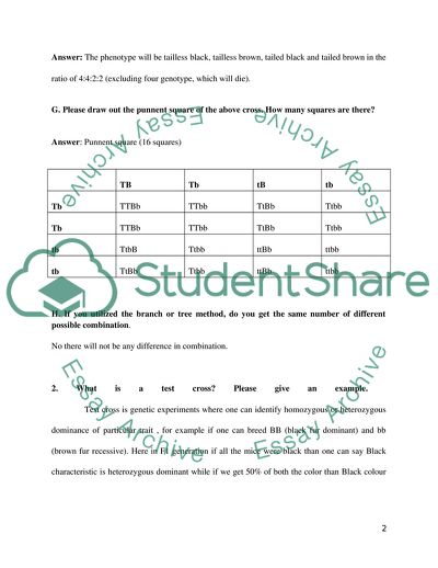 Fundamentals of Molecular Genetics