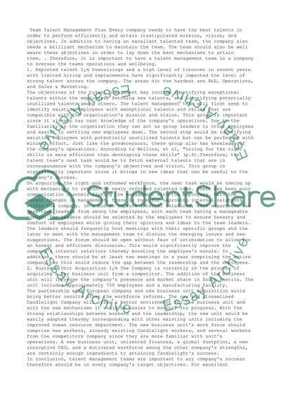 Team Talent Management at Candlelight Company