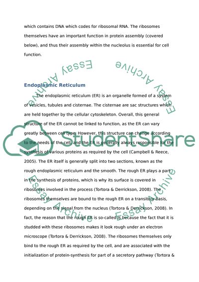 Structure of the Nucleus, Endoplasmic Reticulum, Ribosomes, Mitochondria, Golgi Dody, and Lysosomes