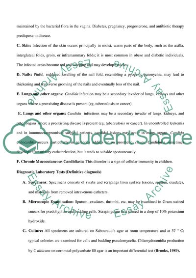 Candida Albicans Microbe