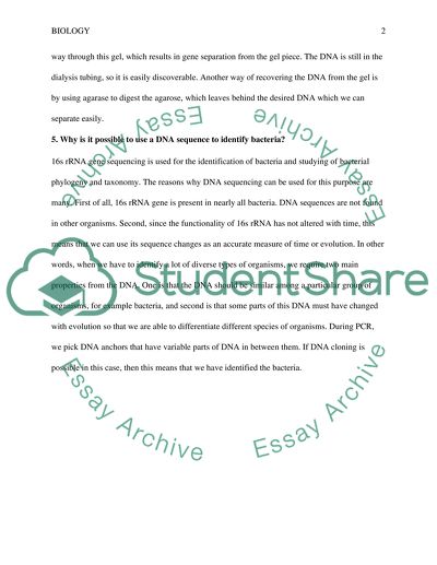 Polymerase Chain Reaction
