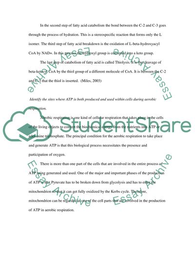 Biological Energy Production