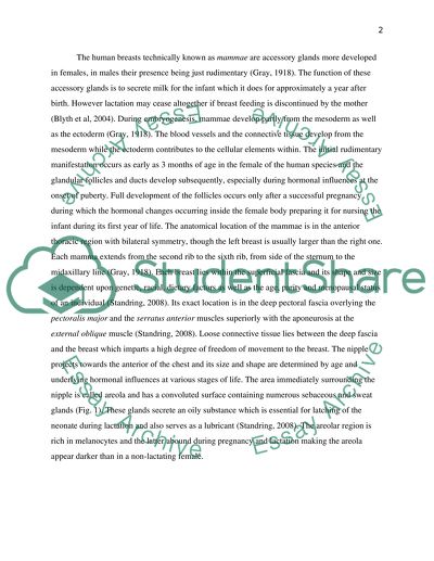 Breast Cancer, Anatomical and Physiological Aspects