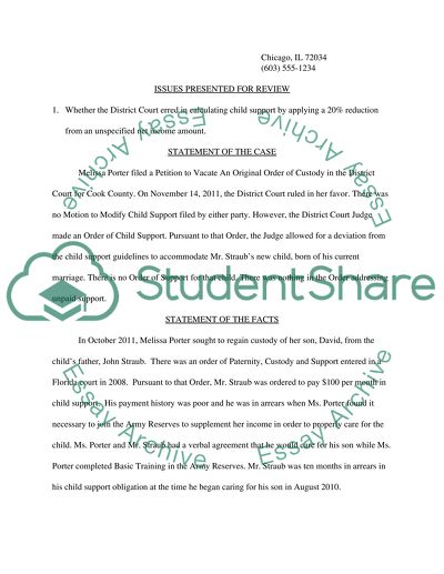In the Court of Appeals of the State of Illinois Melissa Porter vs John Straub