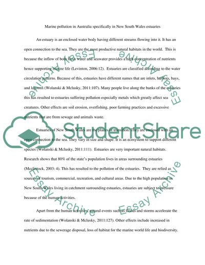Causes of Water Pollution in the New South Wales Estuaries