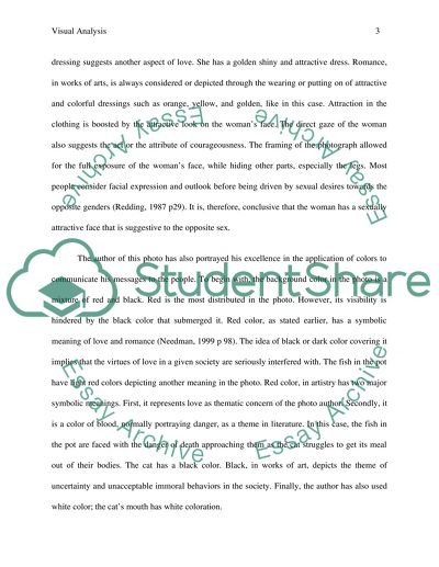 Using Analysis of Image