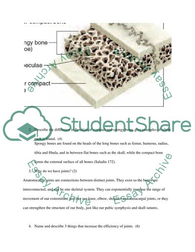 Comparison of the Microscopic Structure of Compact Bone