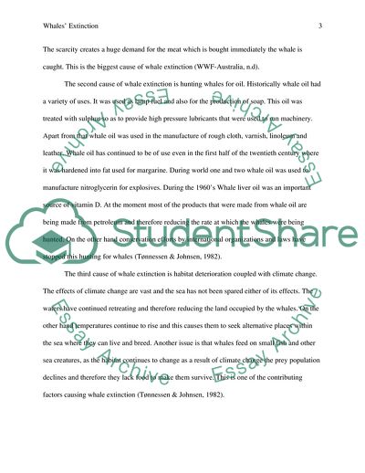 Whales Facing Extinction