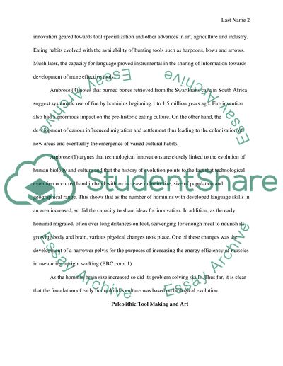 The Palaeolithic Age