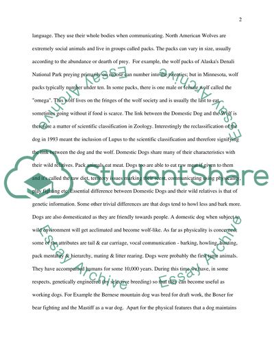 What Characteristics Does a Domestic Dog Share with Its Wild Relatives