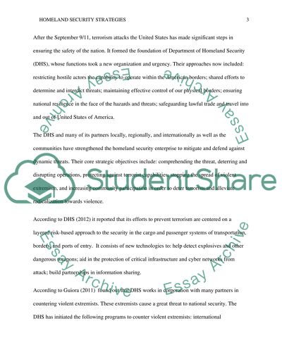 The National strategy of the USA