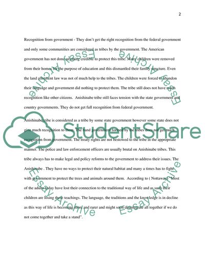 Anishinabe Social Issues