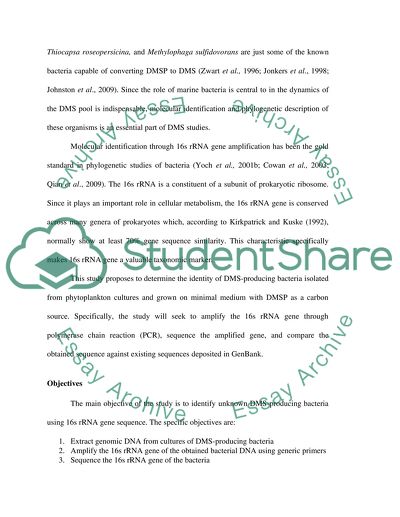 Molecular Identification of DMS-Producing Bacteria Isolated from Marine Algae