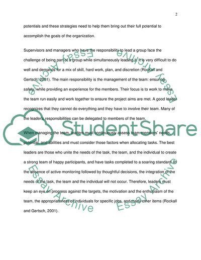 Managing a Team to Perform Effectively