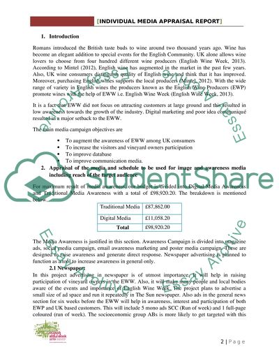 Individual Media Appraisal Report