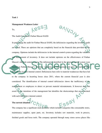 Analysis of Fraud - Deficiencies Identified in the Internal Control System, Audit Report to Shareholders