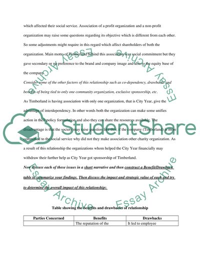 Business Analysis and Review of Timberland