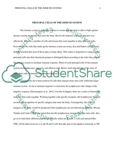 Principle cells of the immune system