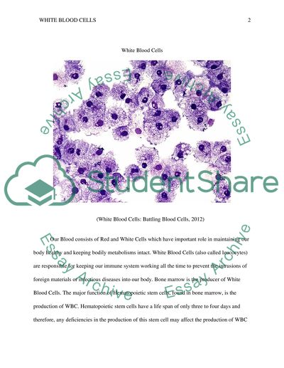 White Blood Cells (WBC)