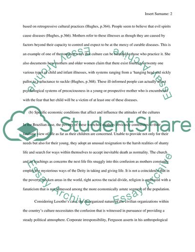 The Violence of Everyday Life in Brazil