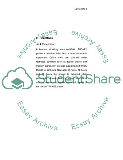 Characterization of Auto-Antigens as Biomarkers in Kidney Cancer