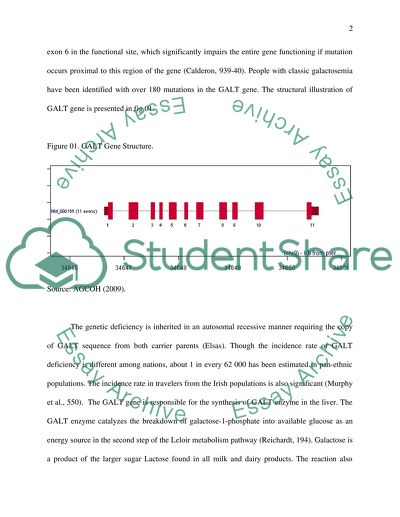 GALT Gene and Occurrence of Galactosemia
