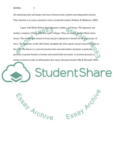 Exercise Physiology for Health, Fitness, and Performance