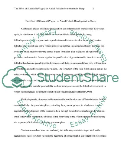 The effect of Sildenafil (viagra) on antral follicle development in sheep