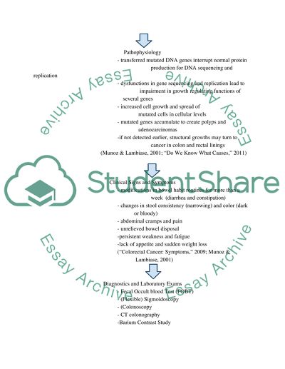 Bachelor of nursing : Concept map report