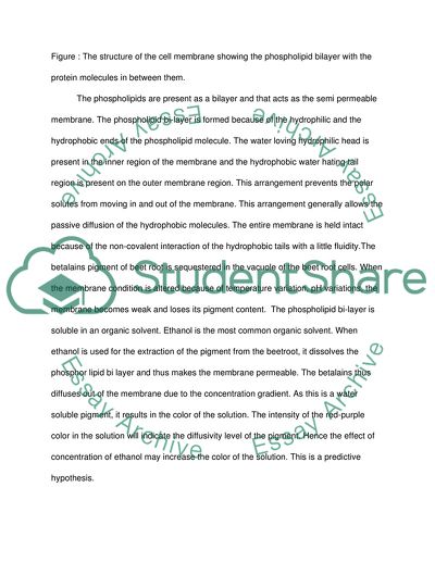 The Effect of Alcohol Concentration on the Leakage of Pigment from Beetroot Cells