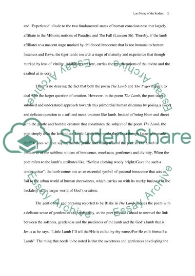 Essay about reading experience
