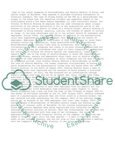 Whistleblowers. The Process and Risks